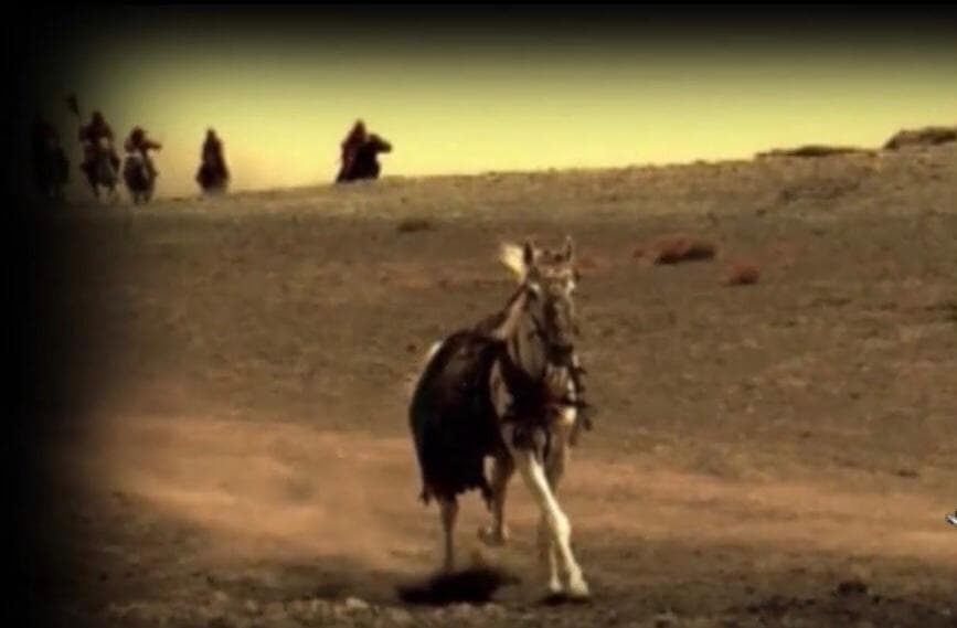 قطعه "ذوالجناح"