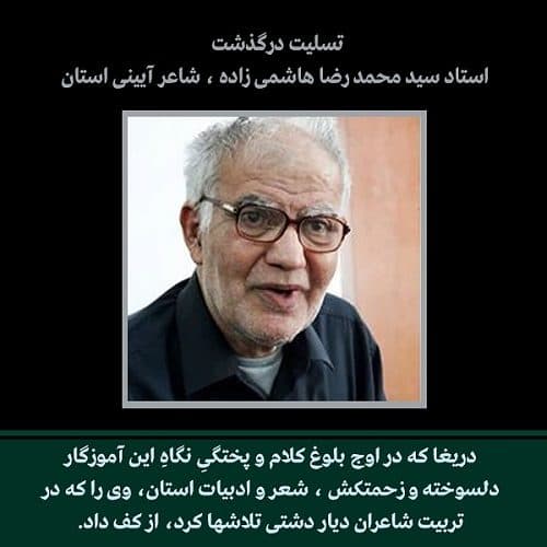 پیام تسلیت رئیس حوزه هنری انقلاب اسلامی استان بوشهر در پی درگذشت سید محمدرضا هاشمی زاده