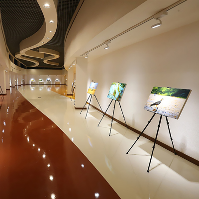 موزه هنرهای معاصر کیش